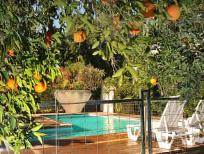 איתן%20בקתות%20עץ%20Eitan%20wood%20cabins%20resort%20,%20שדה%20אליעזר